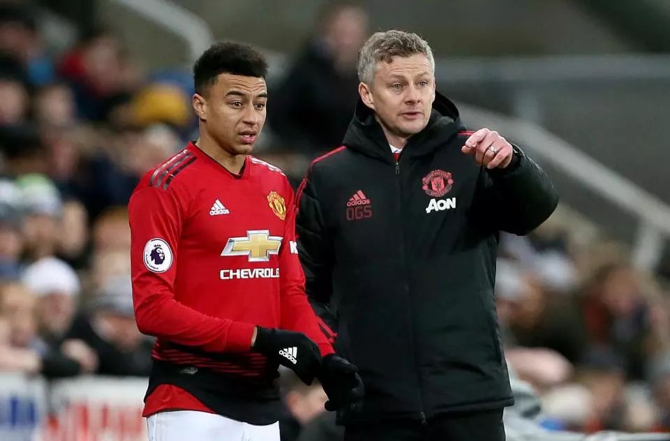 们必须在速 们必须在速